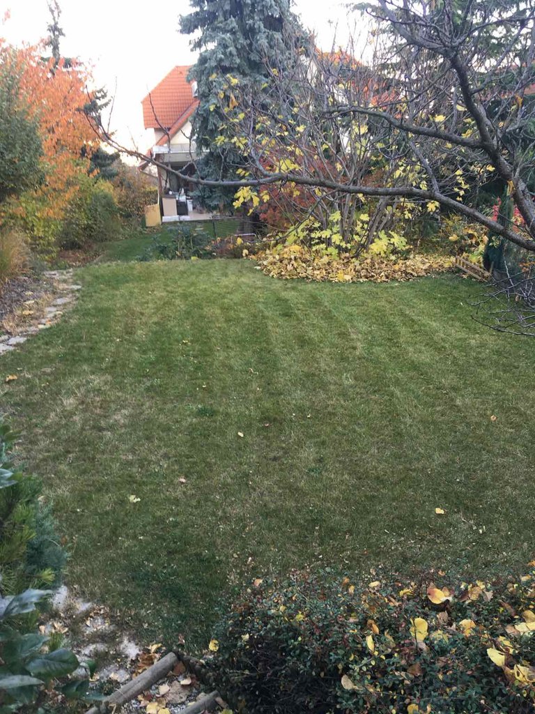 4zcyn3b4d3a8ce79141308864209f34717525-26