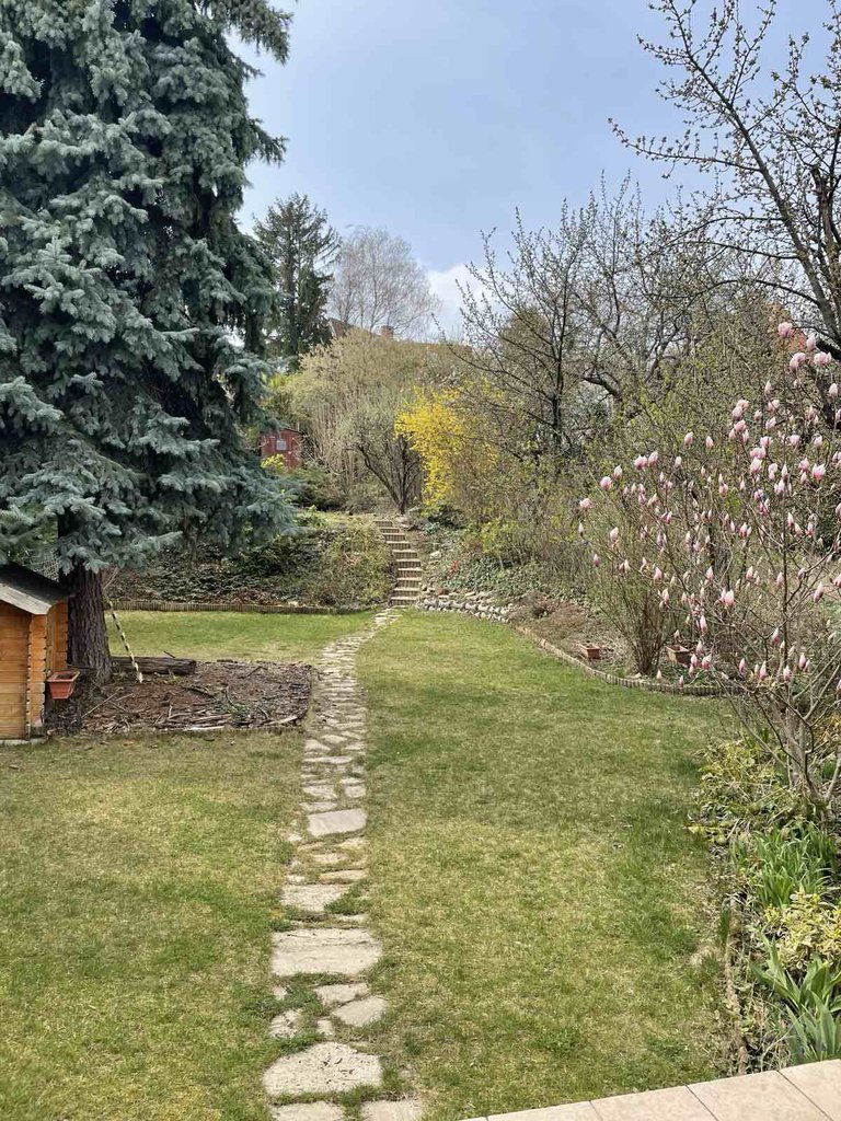 4zcynf6e8fa55ccb24298bda5f61e783a3569-25